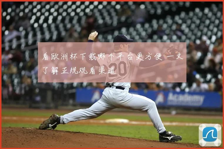 看欧洲杯下载哪个平台更方便 一文了解正规观看渠道