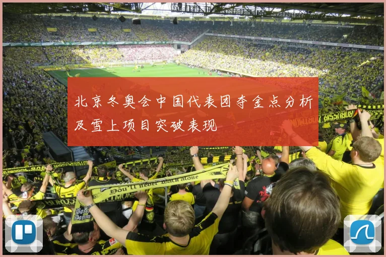 北京冬奥会中国代表团夺金点分析及雪上项目突破表现