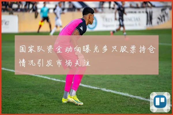 国家队资金动向曝光多只股票持仓情况引发市场关注