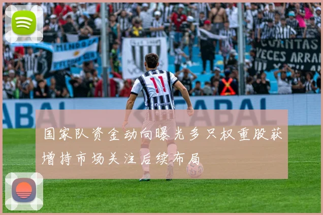 国家队资金动向曝光多只权重股获增持市场关注后续布局