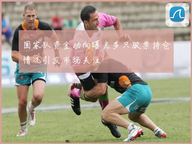 国家队资金动向曝光多只股票持仓情况引发市场关注